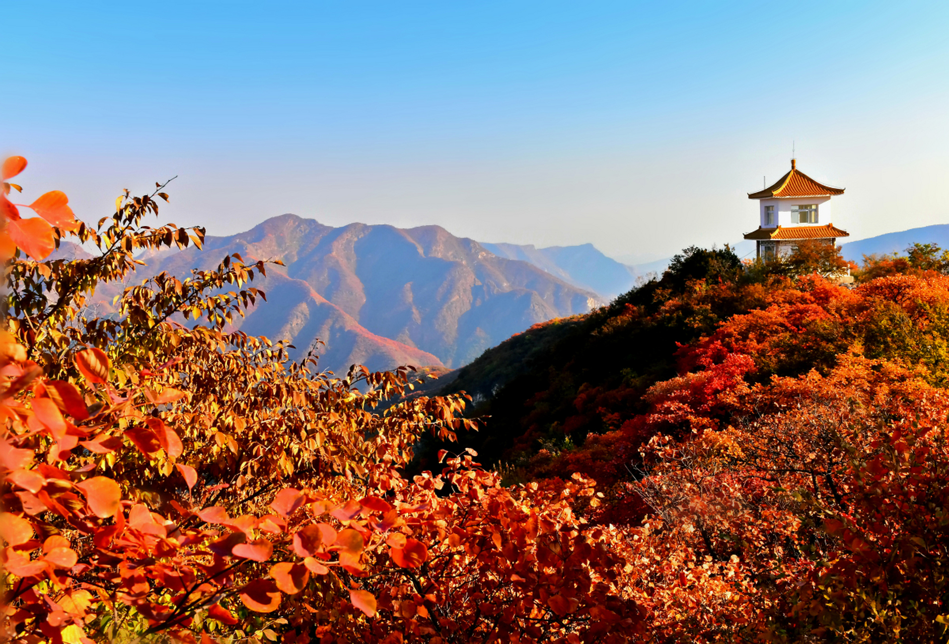 北京香山红叶图片大全图片