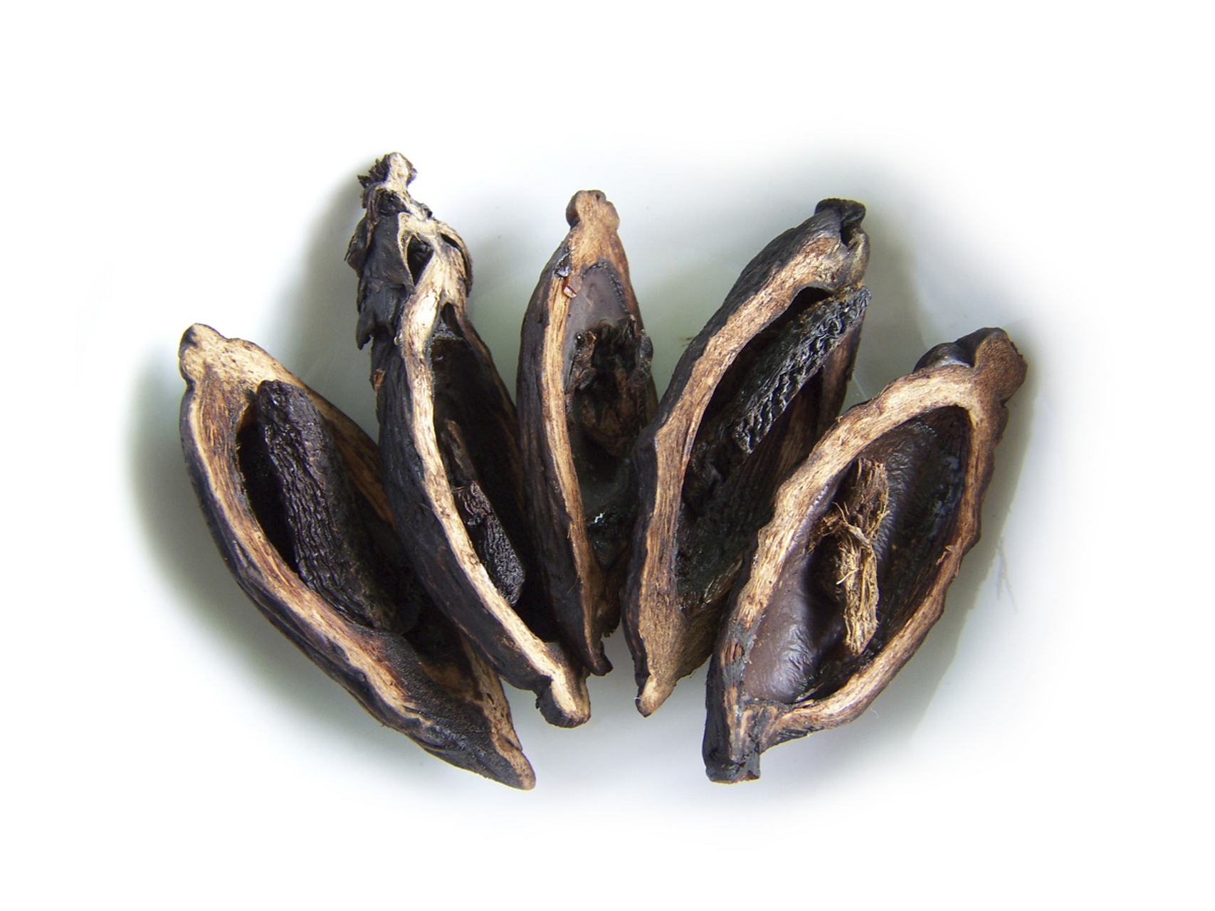 我们这一个做某槟榔代理的这两年发了财,说他年赚几千万以上.