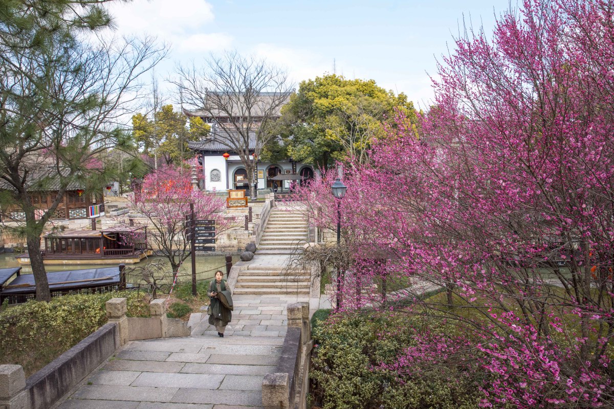 嘉兴梅花洲景区:寻找春天的美丽与宁静