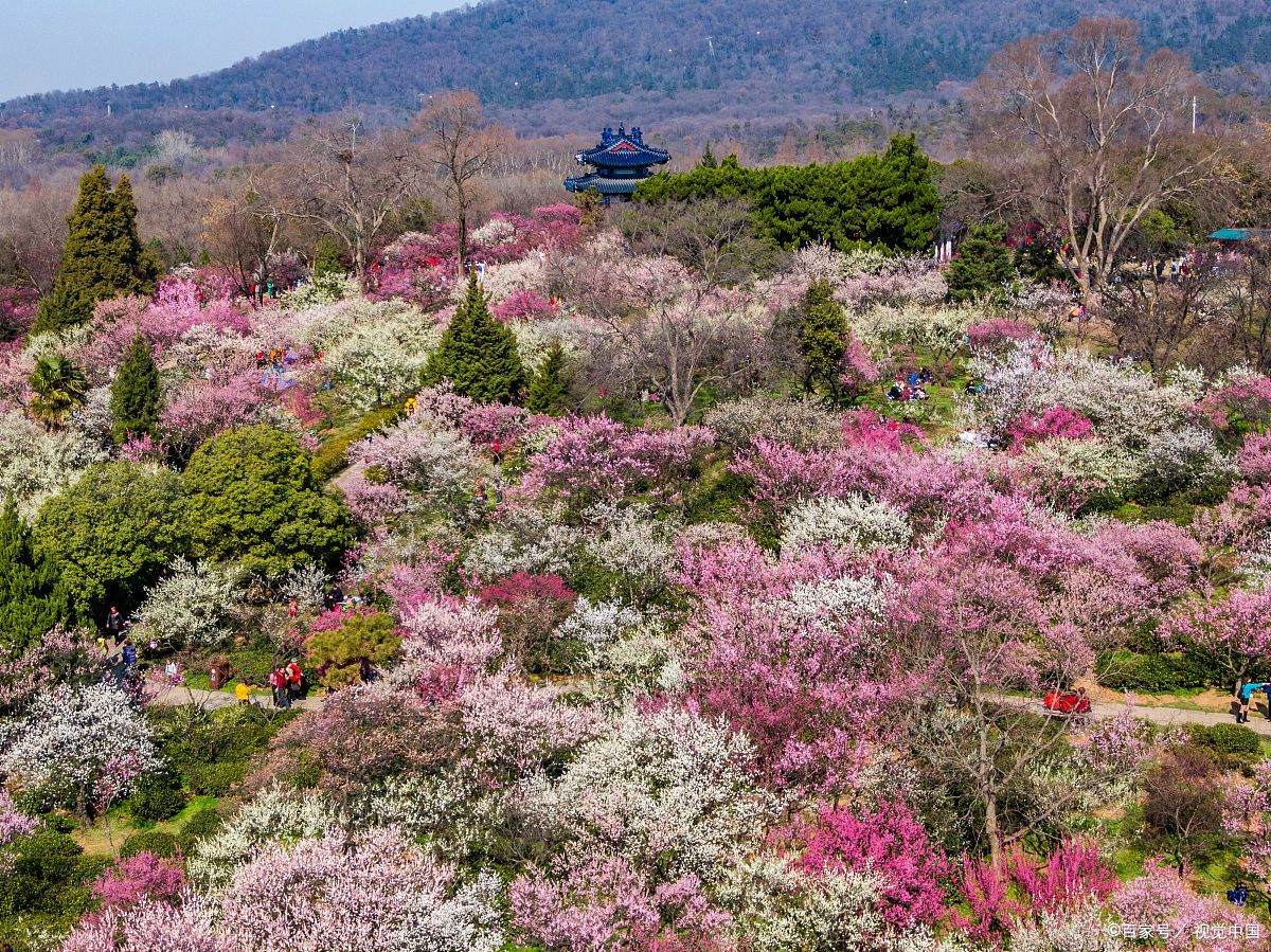 南京梅山风景区图片