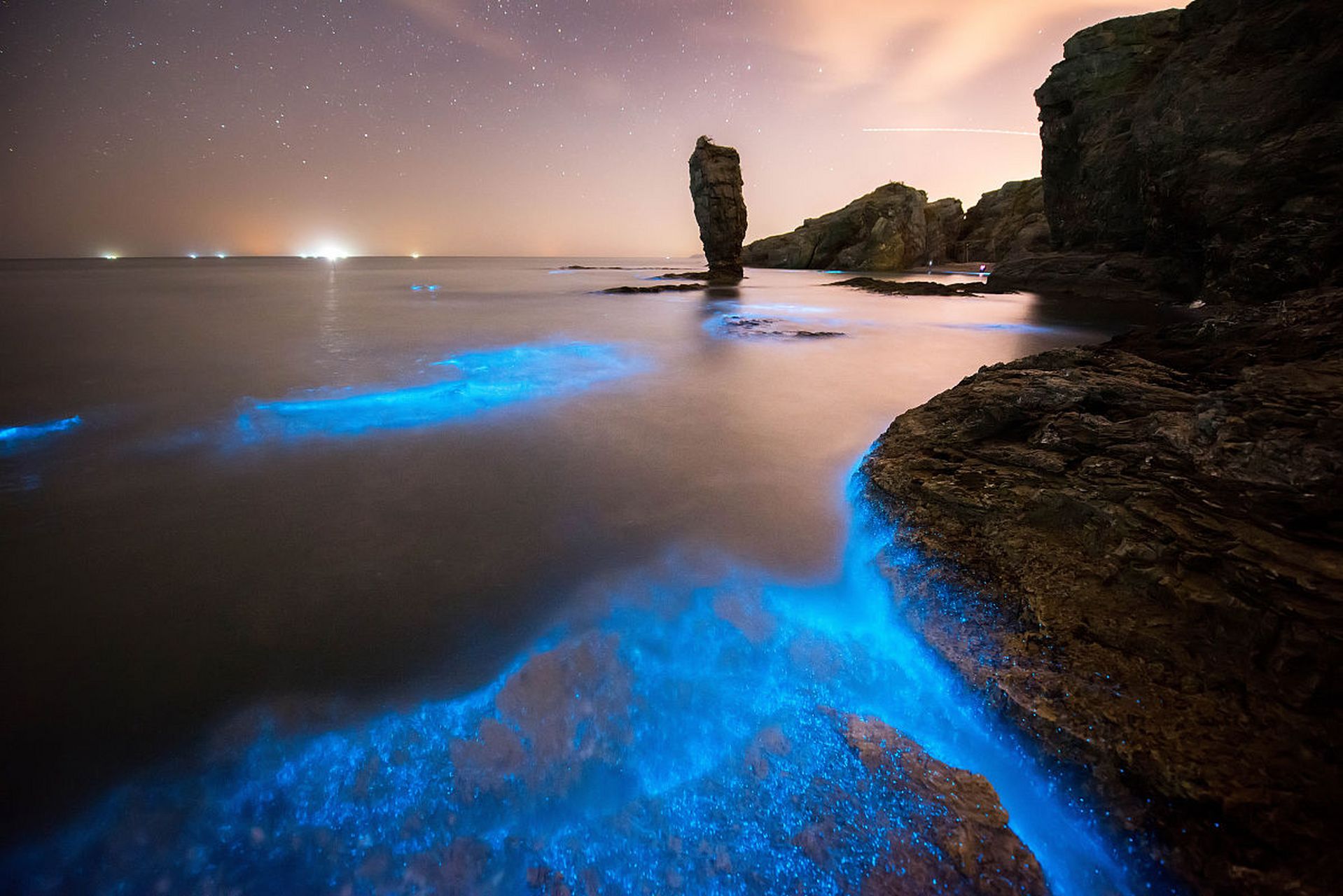 绝美蓝眼泪奇观等你发现:福建平潭,广东惠州双月湾.