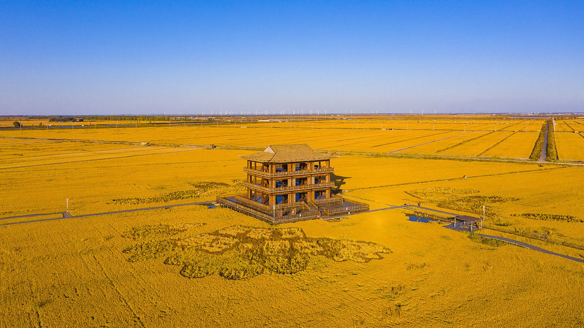 九月动态激励计划# 盘锦红海滩,东北秋日里的红妆 盘锦红海滩位于