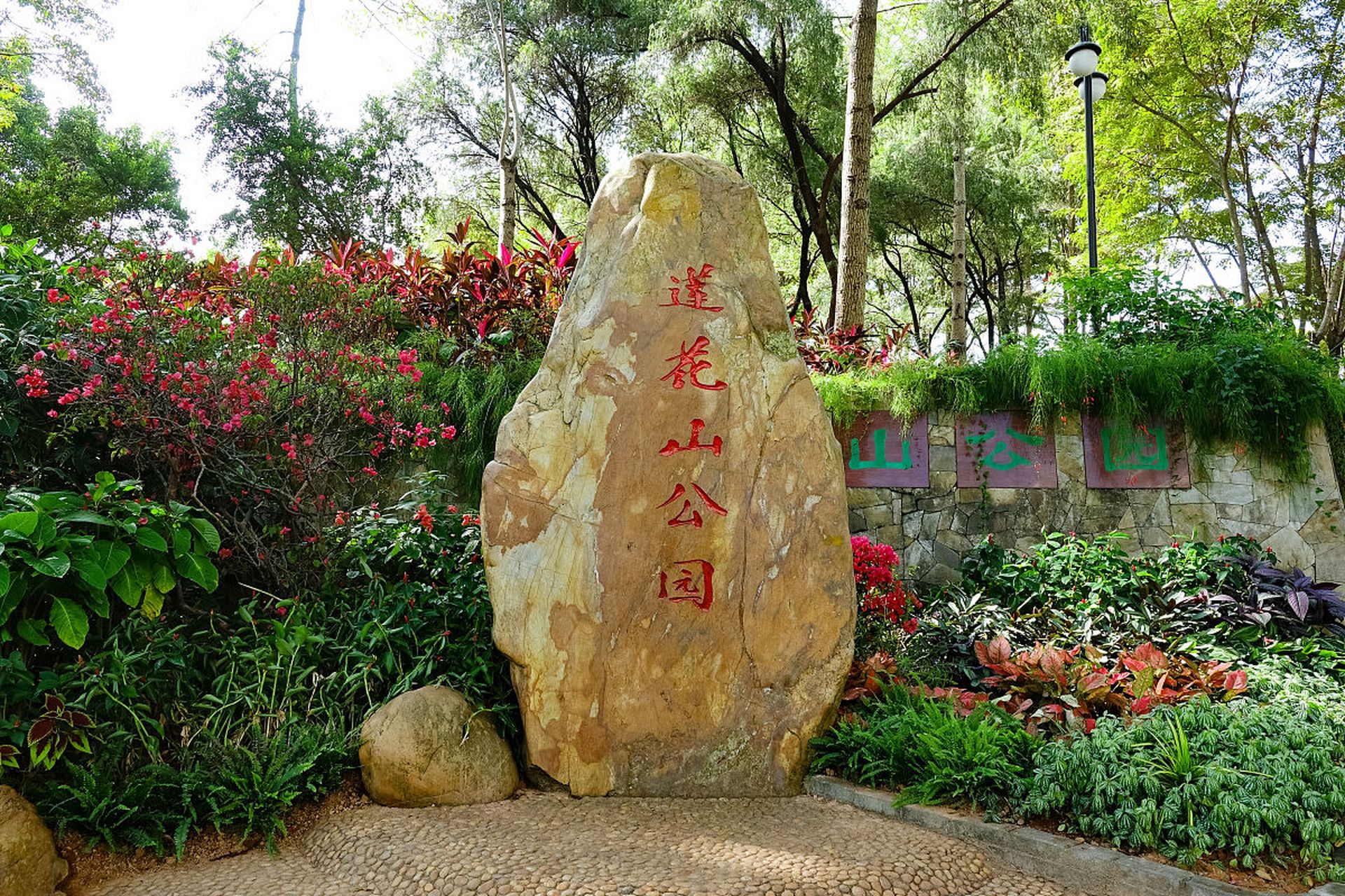 镜头里的春天# 春天,是万物复苏的季节,也是深圳莲花山公园最美的