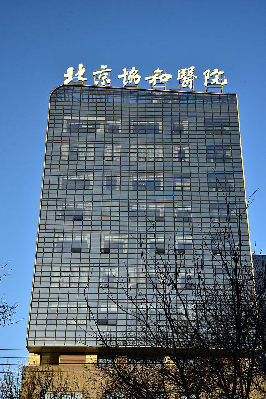 包含协和医院全程代诊含挂号-让就医更轻松的词条