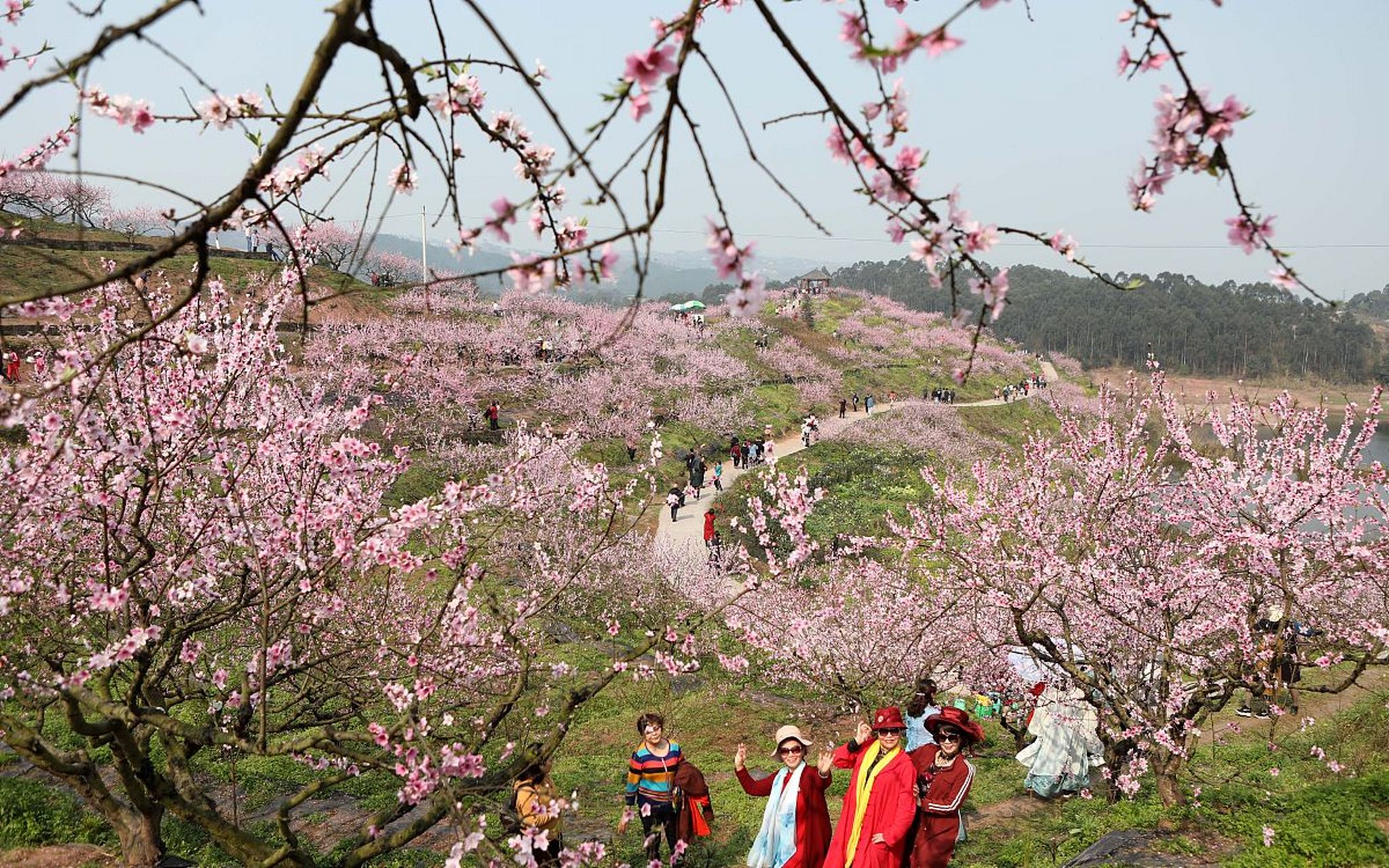 舟山桃花岛景点介绍图片