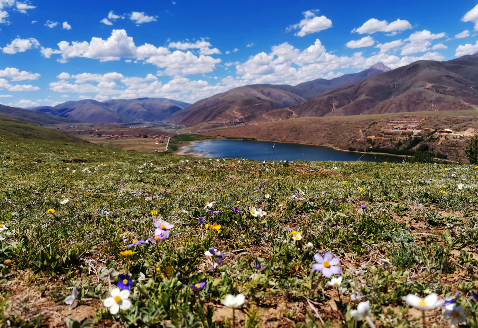毕业后去哪儿玩# #四川旅游#  炉霍县位于四川省西部的川西高原,缸挝