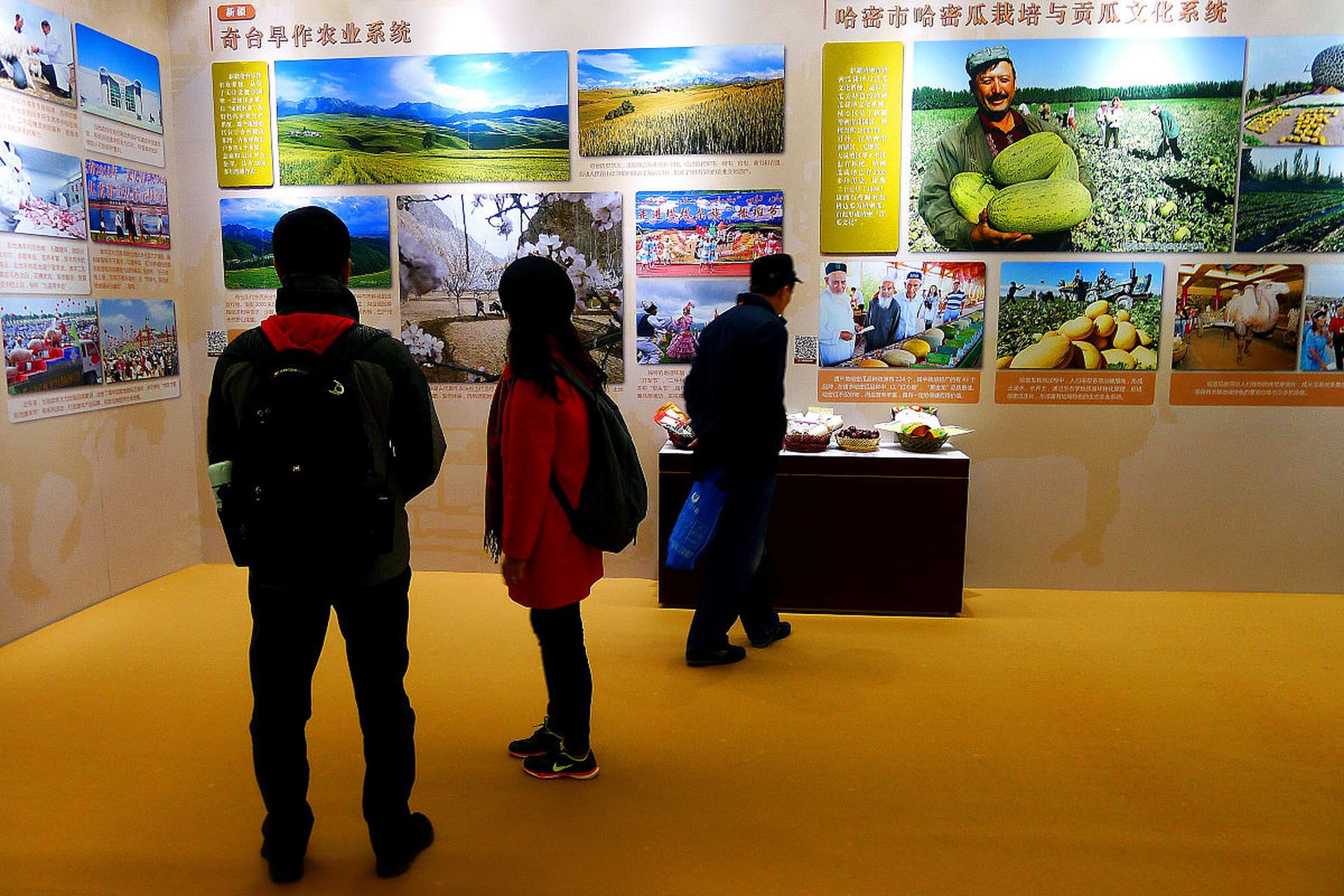 建三江胜利农场展厅设计独特,沉浸式体验中心利用沉浸式投影空间,展板