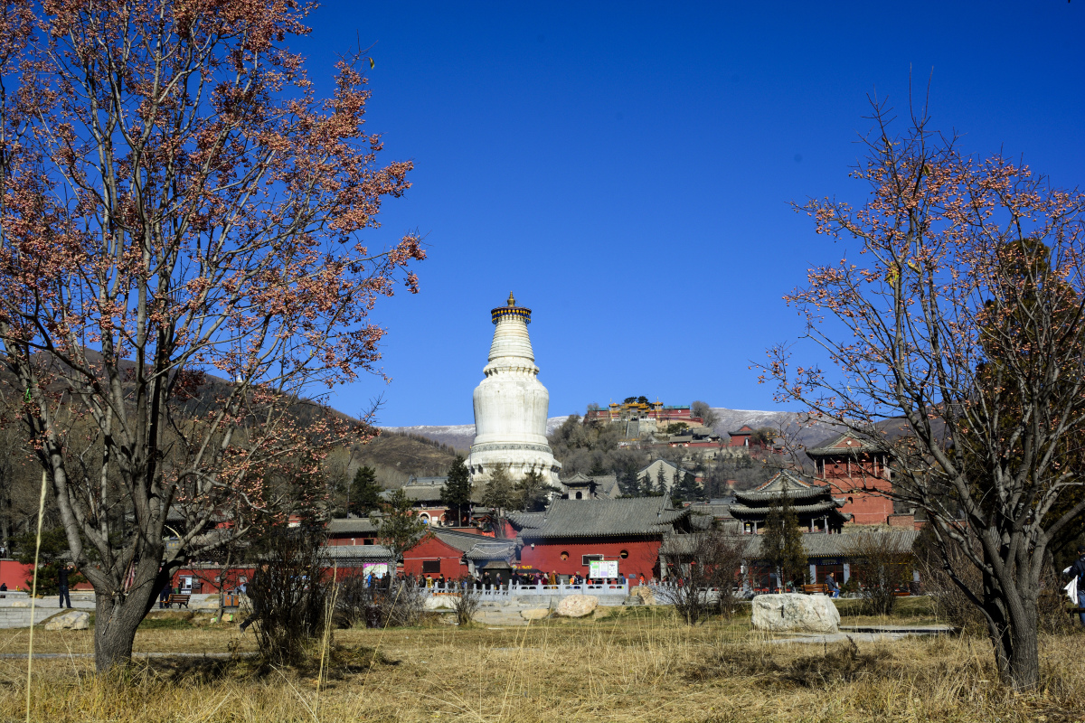 《五台山:河南省的灵山胜境》  五台山,位于河南省林州市境内,是中国