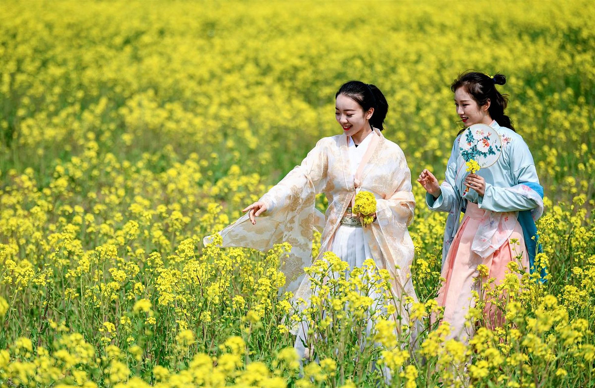 油菜花人像写真图片