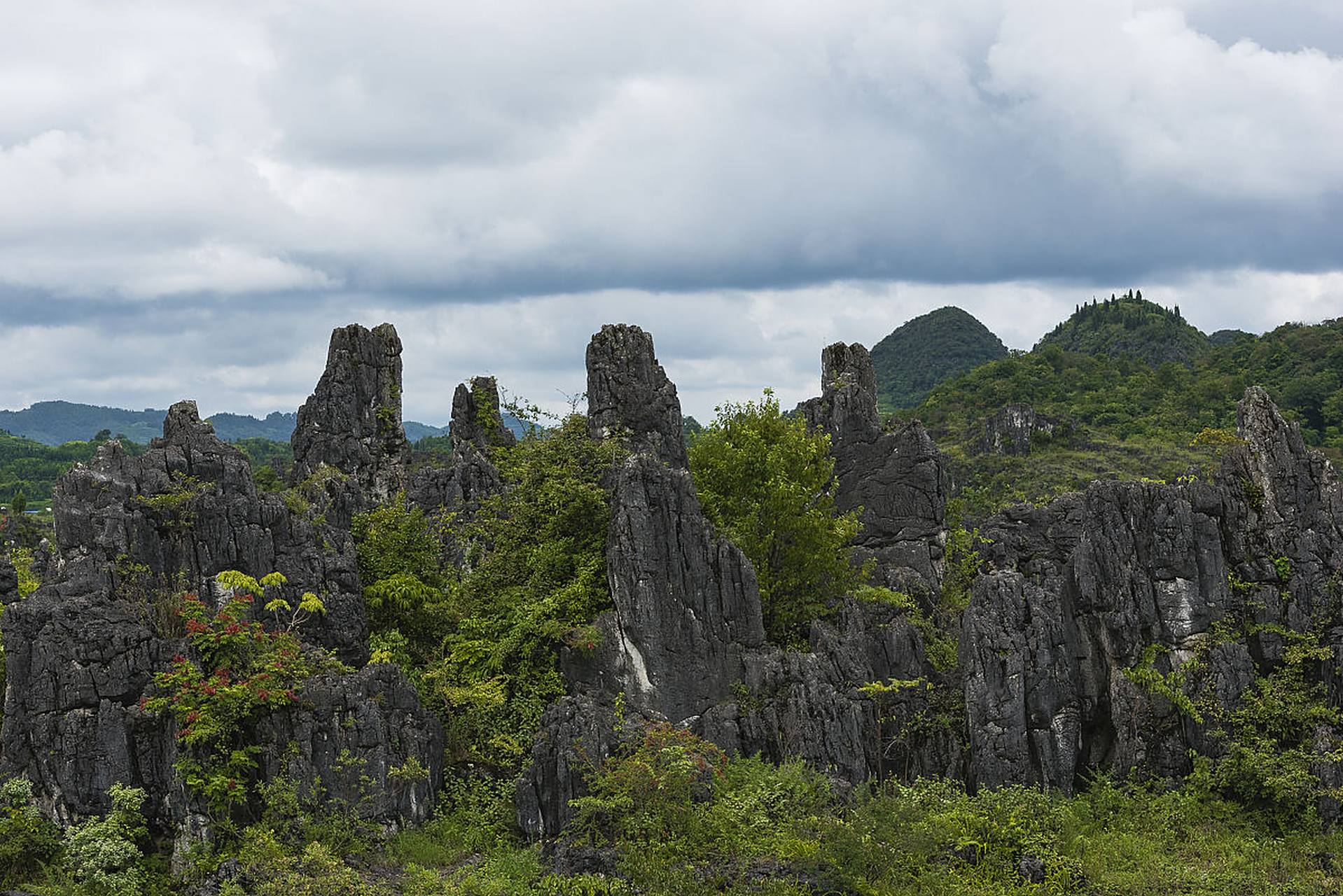 远观八美石林,从色调上便一眼分辨,石林是灰色调的,它的周围,山体