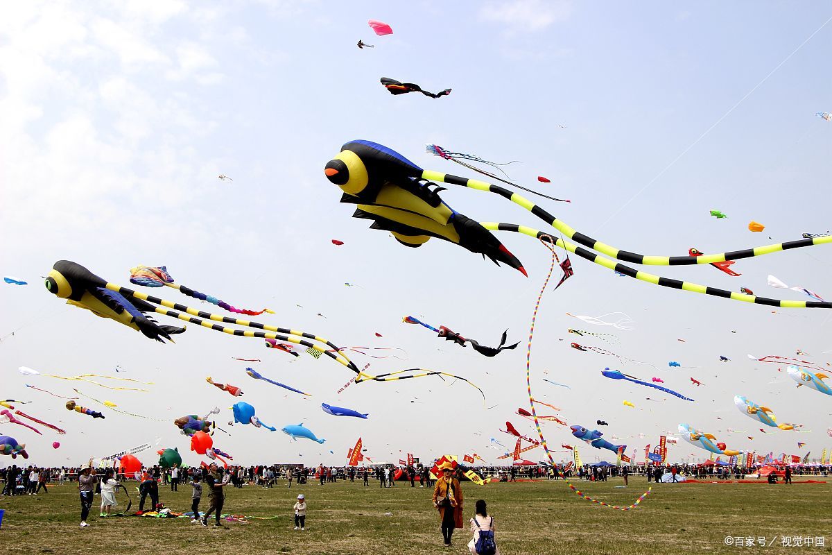 潍坊风筝:放飞梦想的天空之城,是否真的如此绚丽多彩?