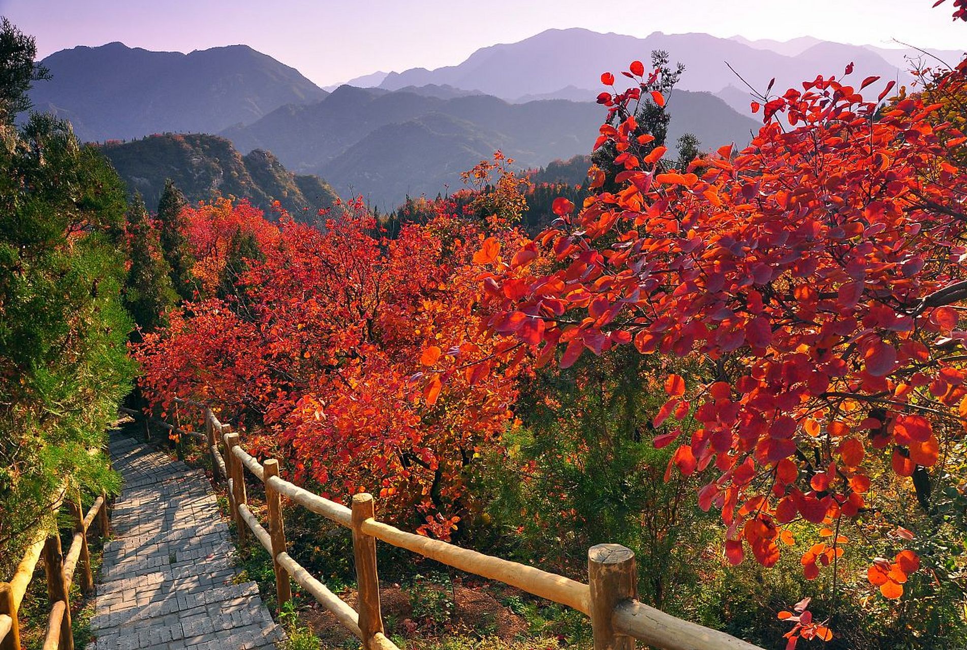 临朐石门坊风景区图片