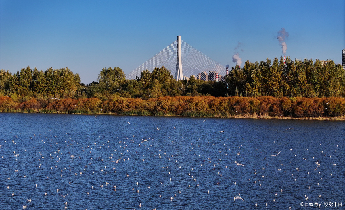 鹤鹤岗天水湖公园,山水相依景色宜人!
