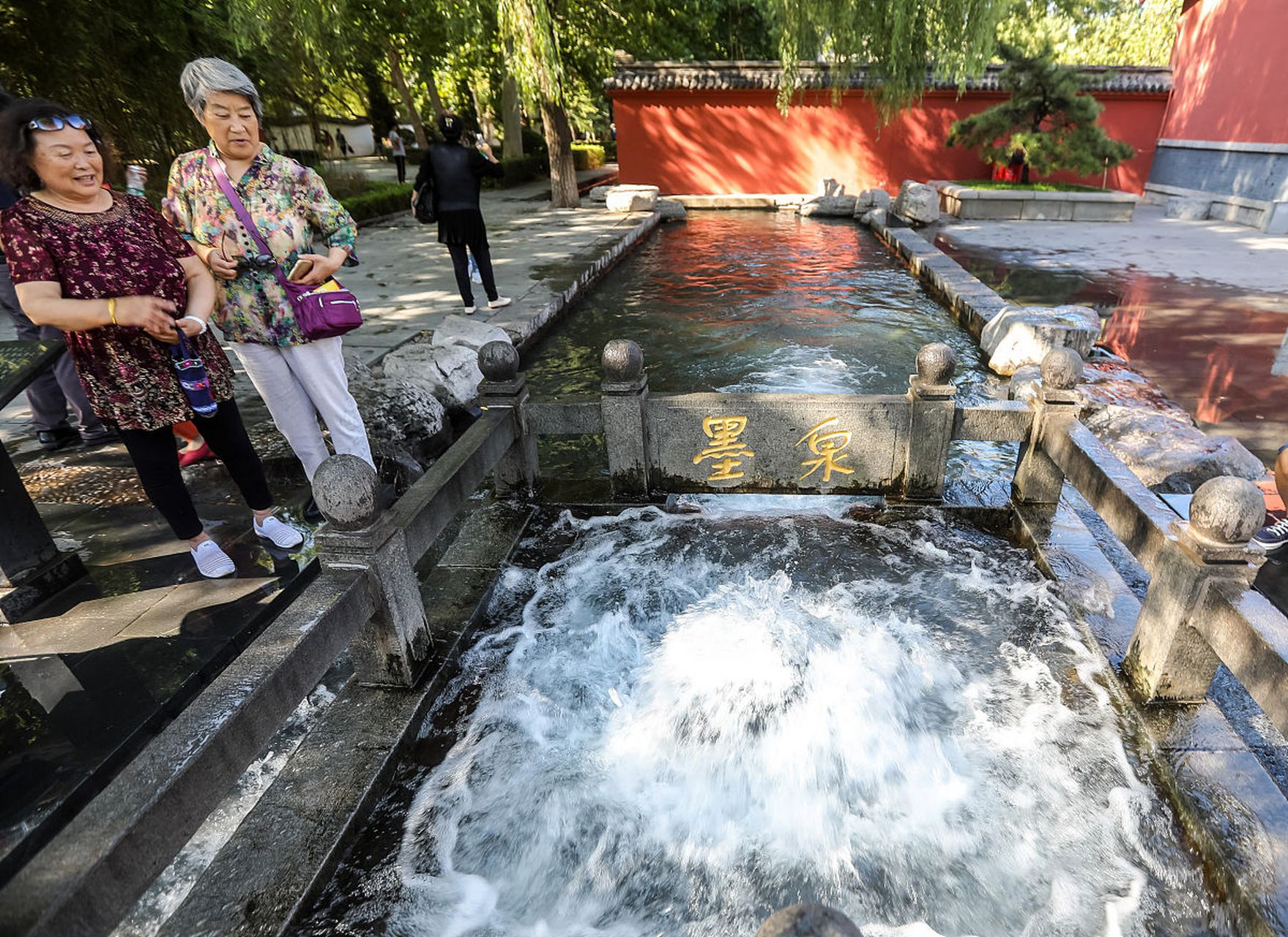 所谓"花开如云,花谢似雪",近日,泰山王母池的百年流苏树花满枝头,如云