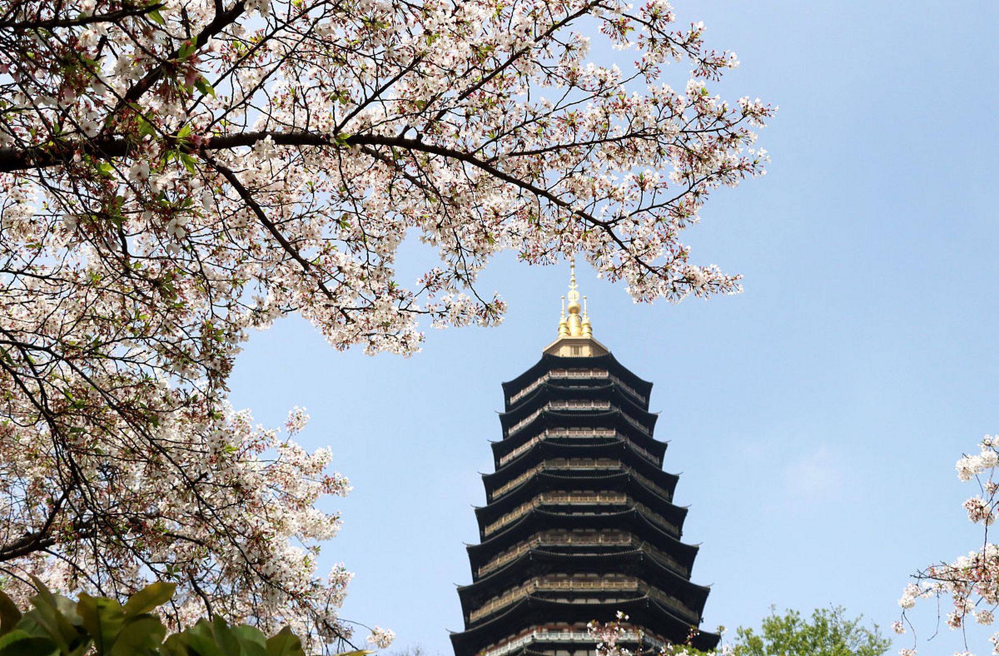 穿越时空的旅行# 参观常州天宁宝塔,这是一次深入体验佛教文化的机会