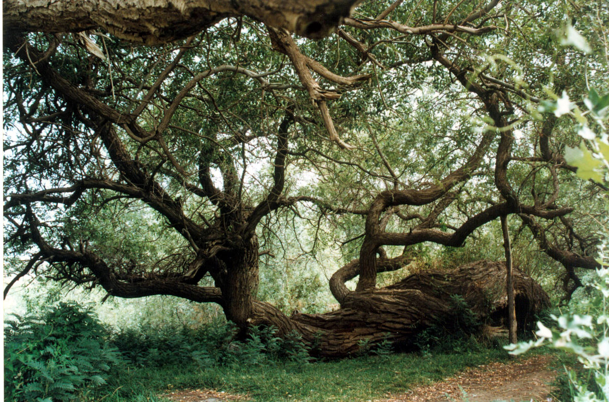 健康最重要,包括身体健康和心理健康.