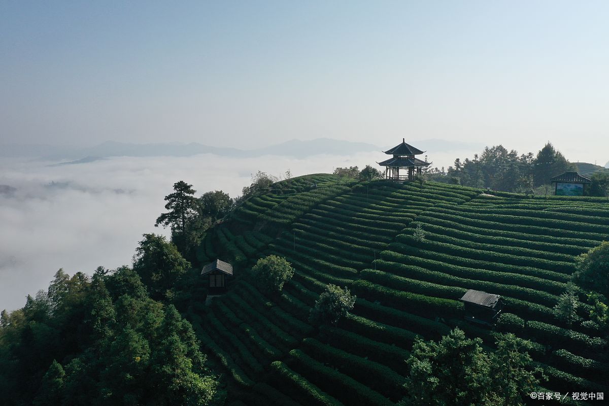 茶山风景区一日游攻略