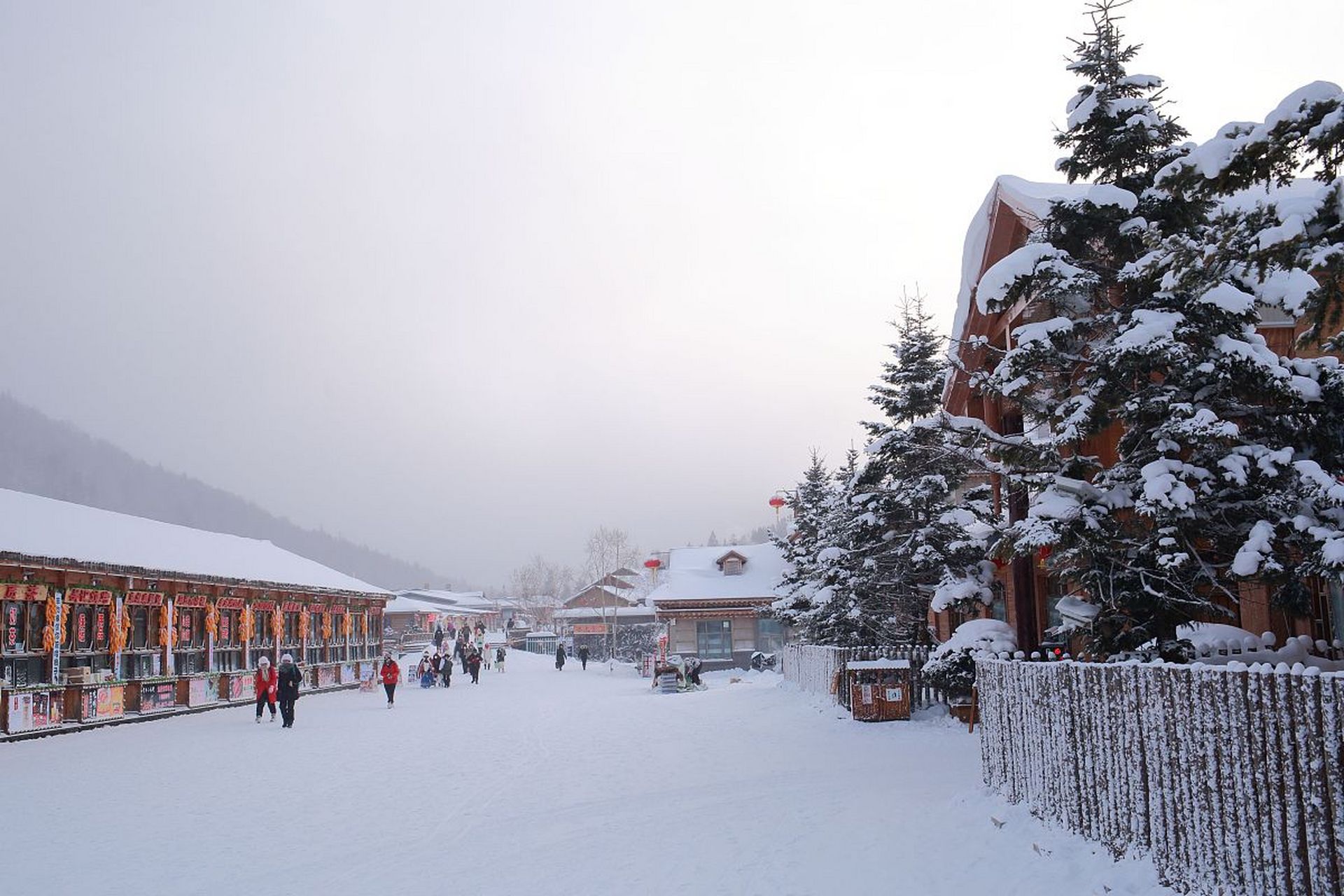 冬季在场证明# 冬天来了,白雪皑皑,寒风刺骨,是不是感觉无聊透顶?