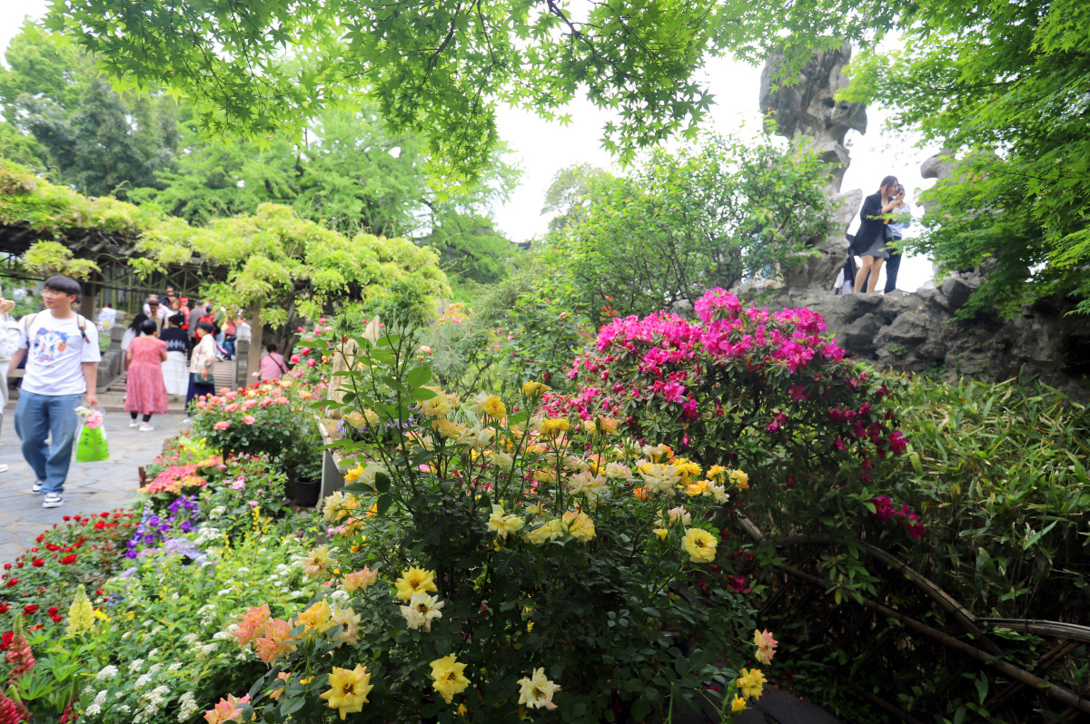 春天总要来一趟杭州# 今天终于去了心心念念的杭州植物园,简直是太美