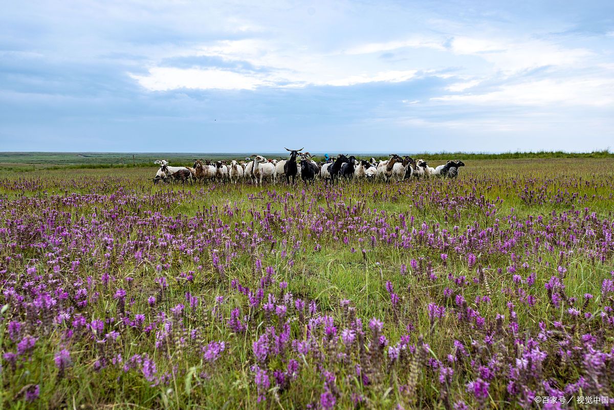 激情四溢的通湖草原旅游区坐落在中国内蒙古自治区和宁夏回族自治区