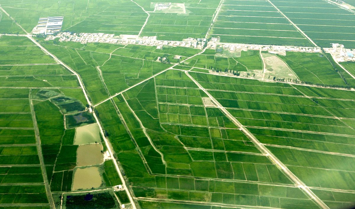 地球上不合适人类生存的四大平原,你知道几个?