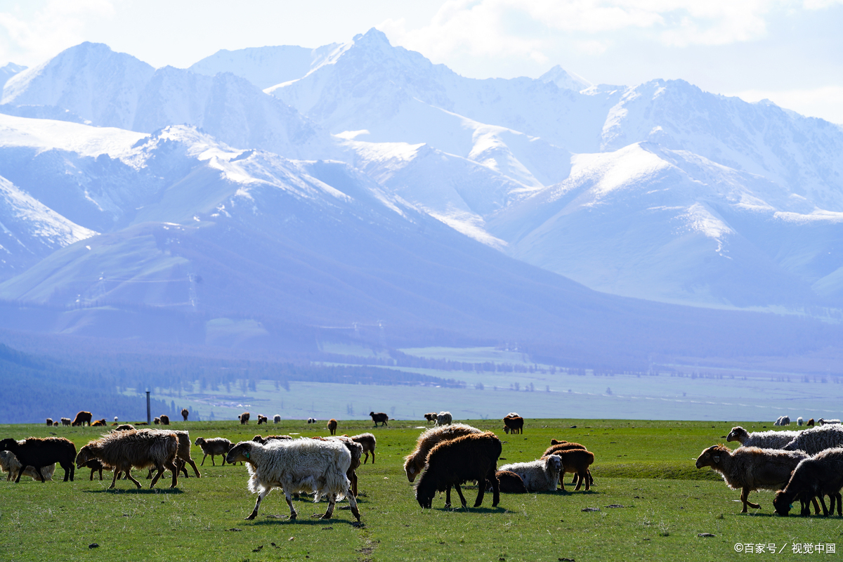 战略归属 新疆军区在2016年战区改革后被划入西部战区序列,接受西部
