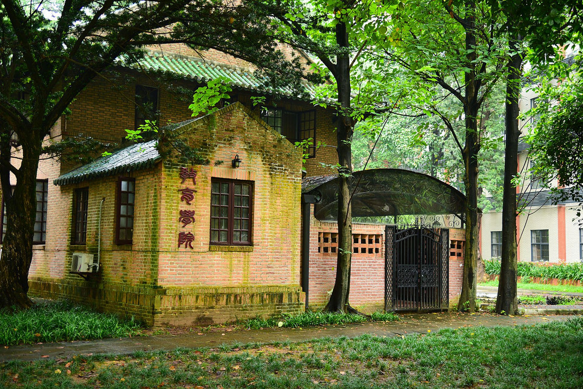 浙江农业大学女生夏图片