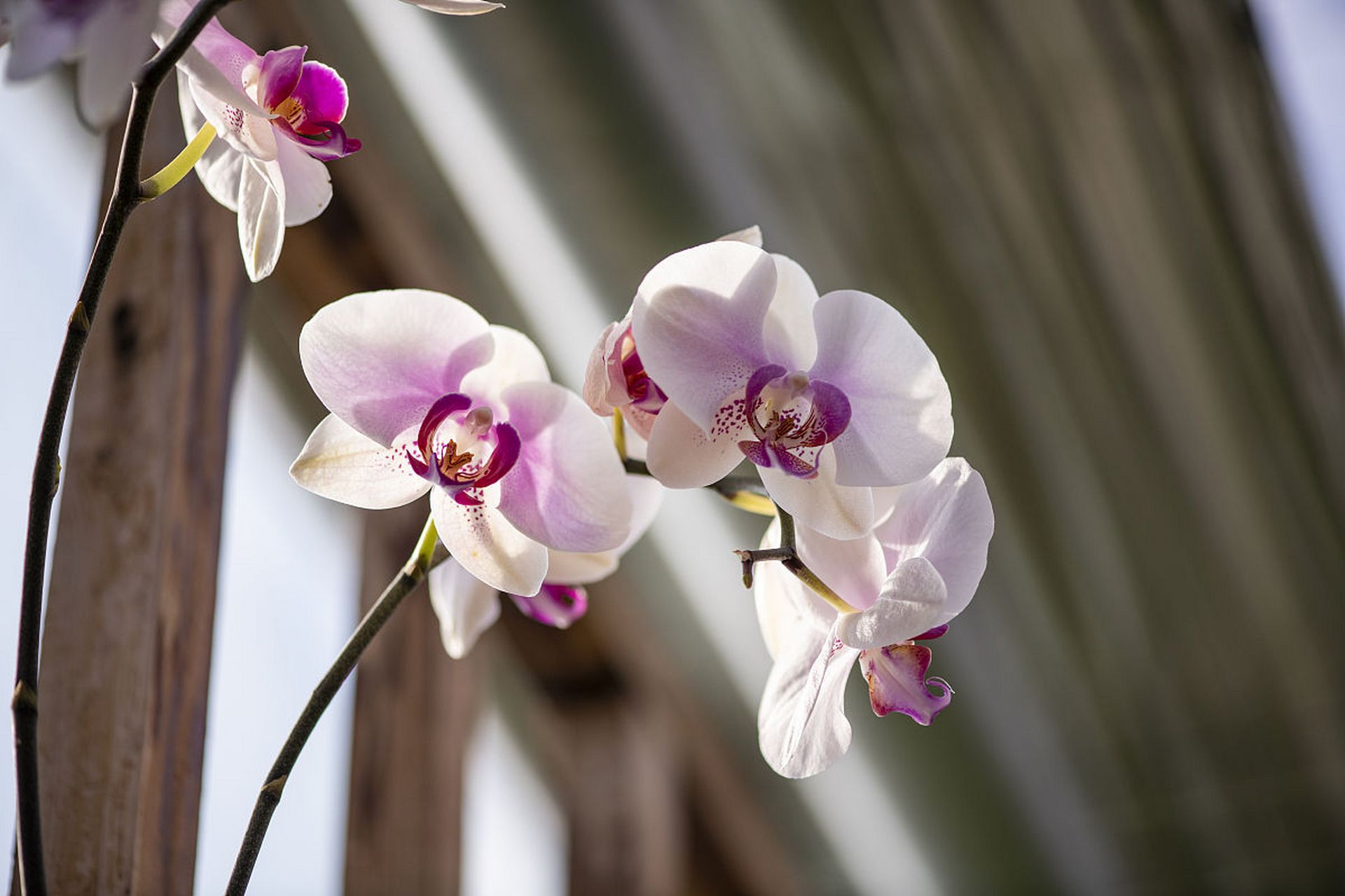 考上工作高兴的,和一群朋友去饭店喝酒.