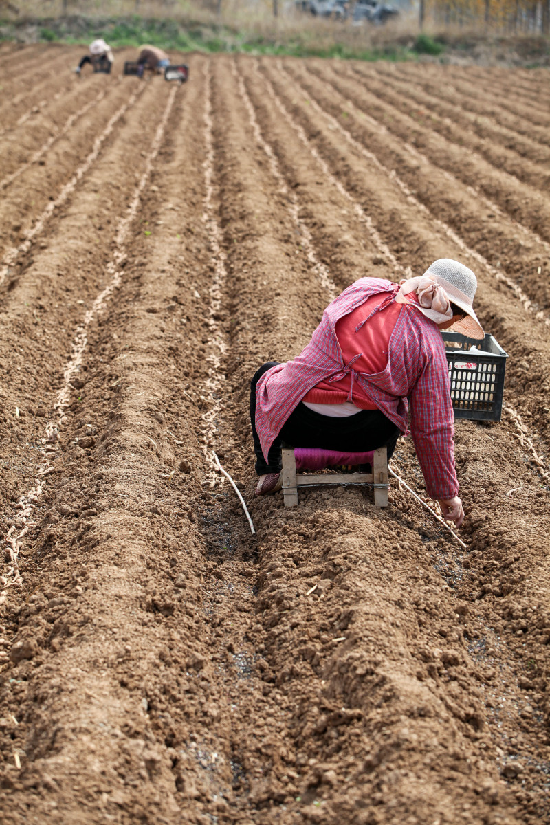 这听起来像是个荒诞的故事,但却是内蒙古自治区开鲁