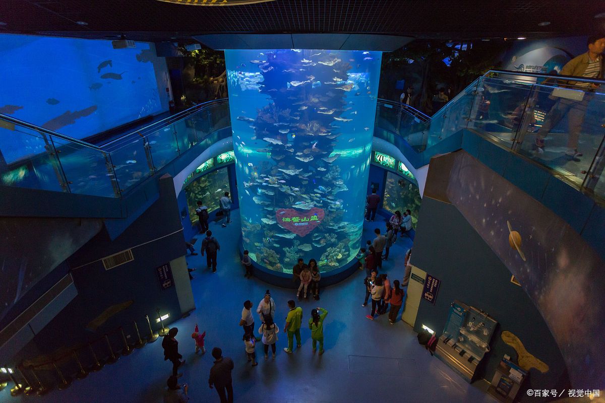 米加小镇水族馆图片