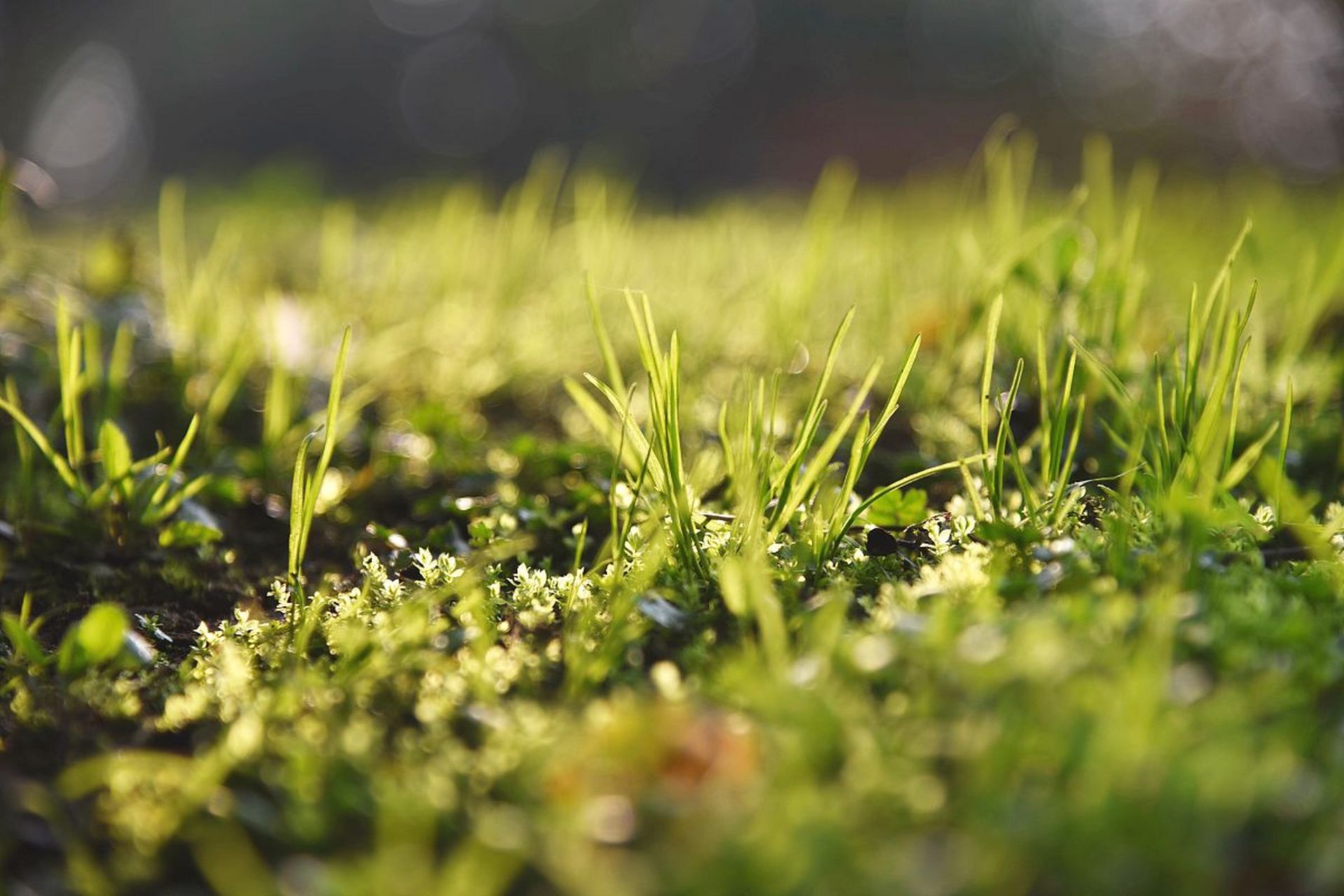 晨曦微露,箫声宁静,在这诗意般的画面中,我们探索一份释然与慨叹.
