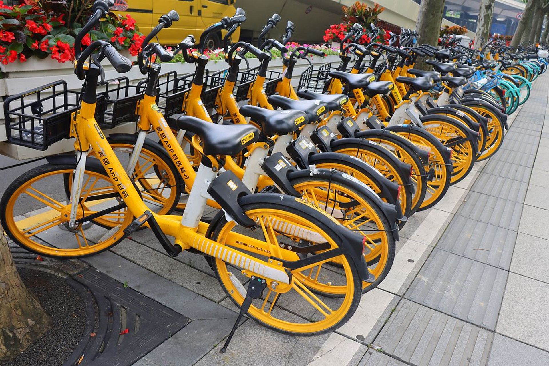 苏州高新区美团单车摆放  负责区域:苏州高新区枫桥 工作时间:8:00-16