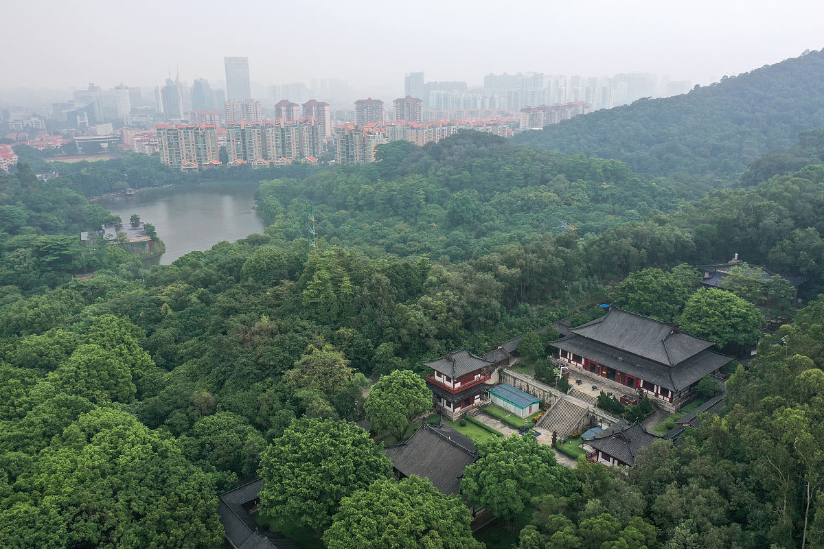 岳麓山夏天图片