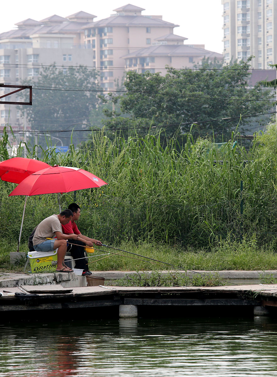某个星期天,她突然来访,邀请我一同去钓鱼