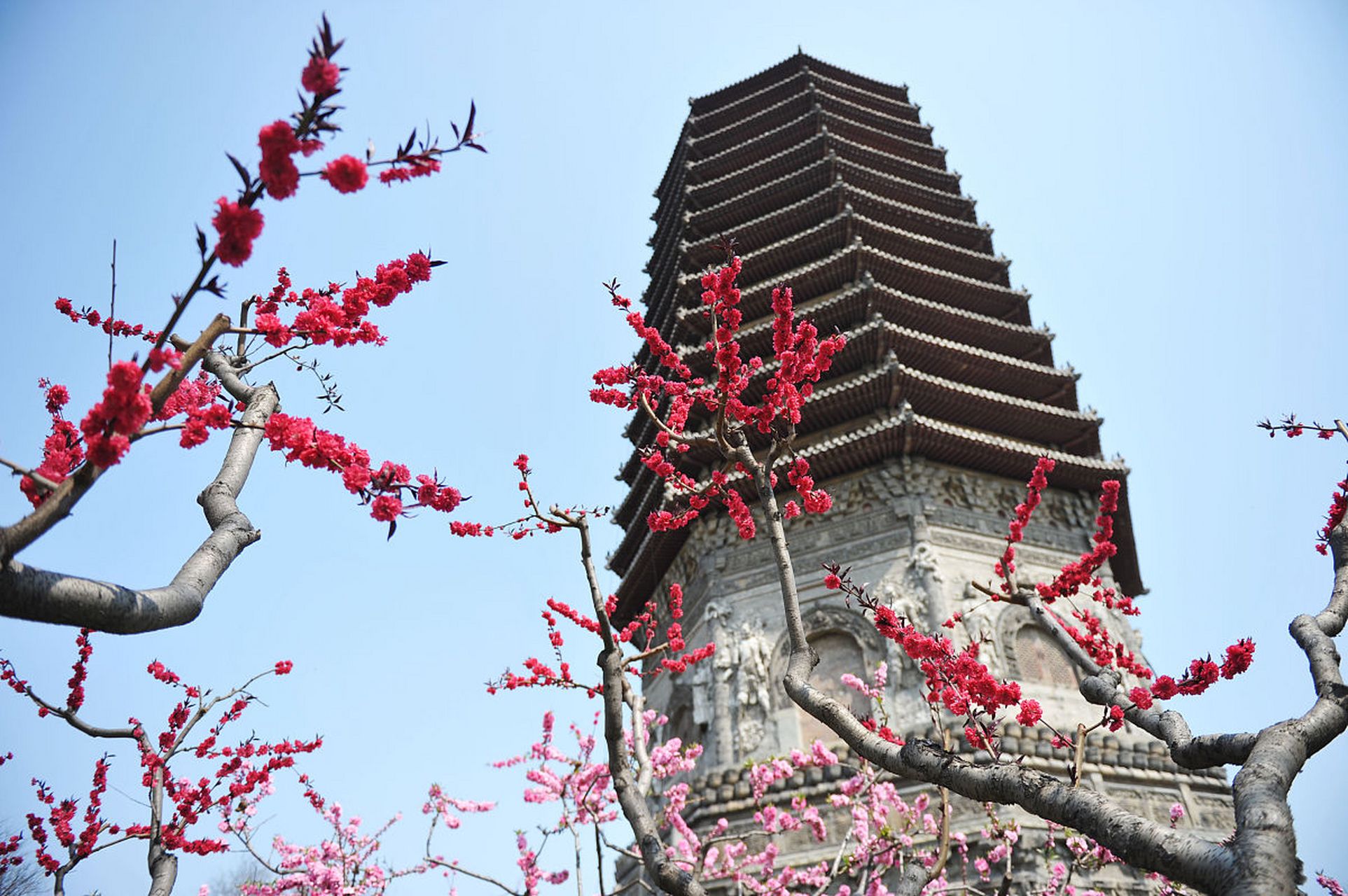 奔赴春天的旅行# 春天的洛阳文峰塔,是一处登高望远的好去处.