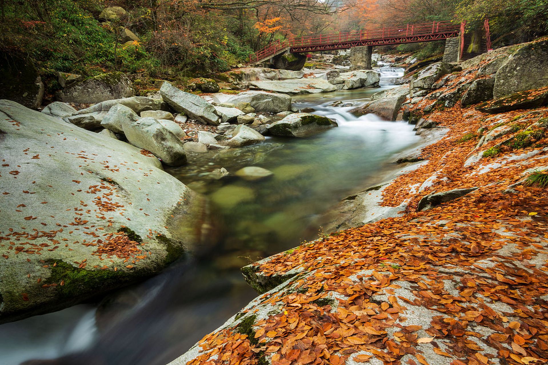 光雾山位于四川省巴中市南江县光雾山镇,是一座国家aaaa级旅游景区