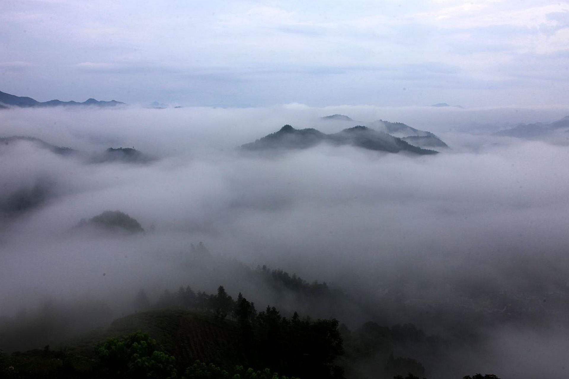 青阳莲峰云海图片