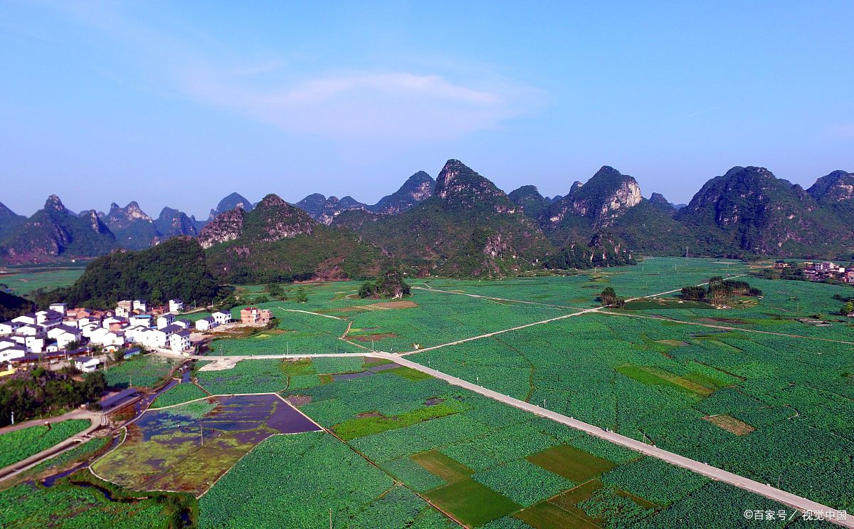 九龙小镇气候适应,农业应对变化能力,生态智慧超佩服!