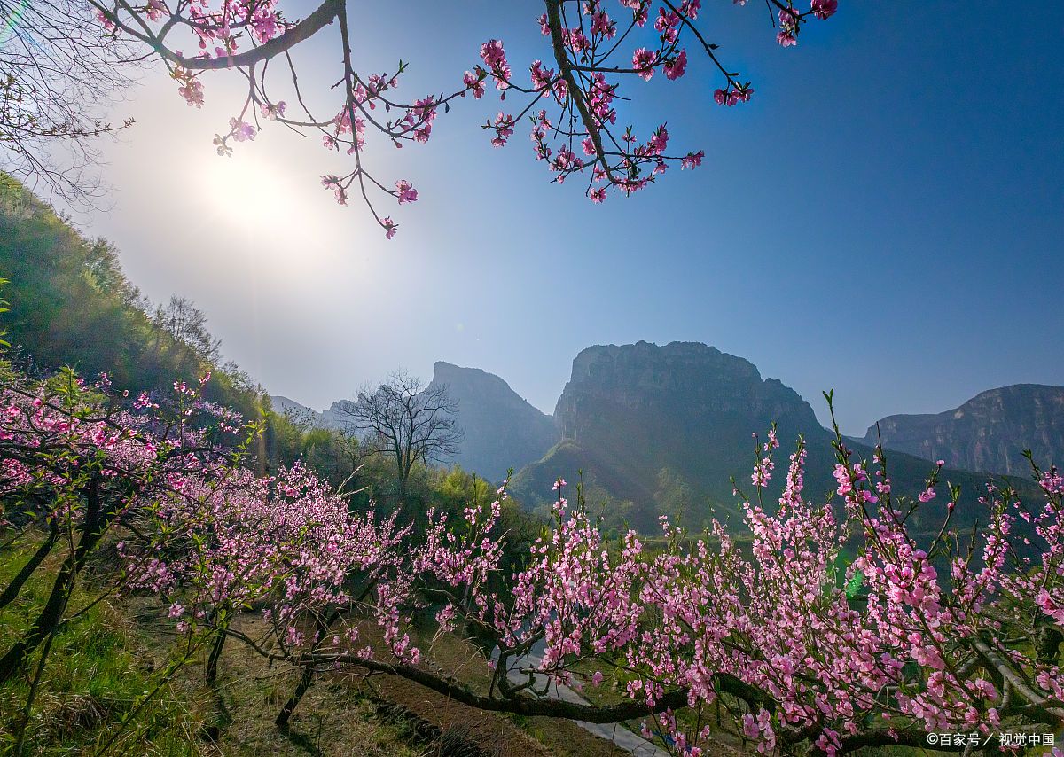 桃花谷景区图片图片