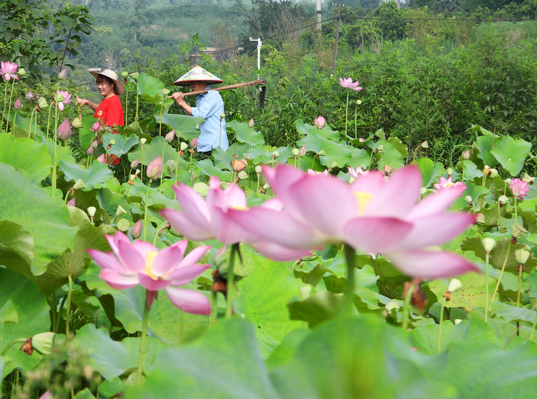 四川达州"9617"道路交通事故致1死20伤  大竹县妈妈镇境内的竹石路