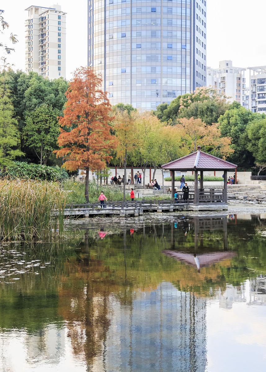 上海江浦公园:美丽的城市绿洲