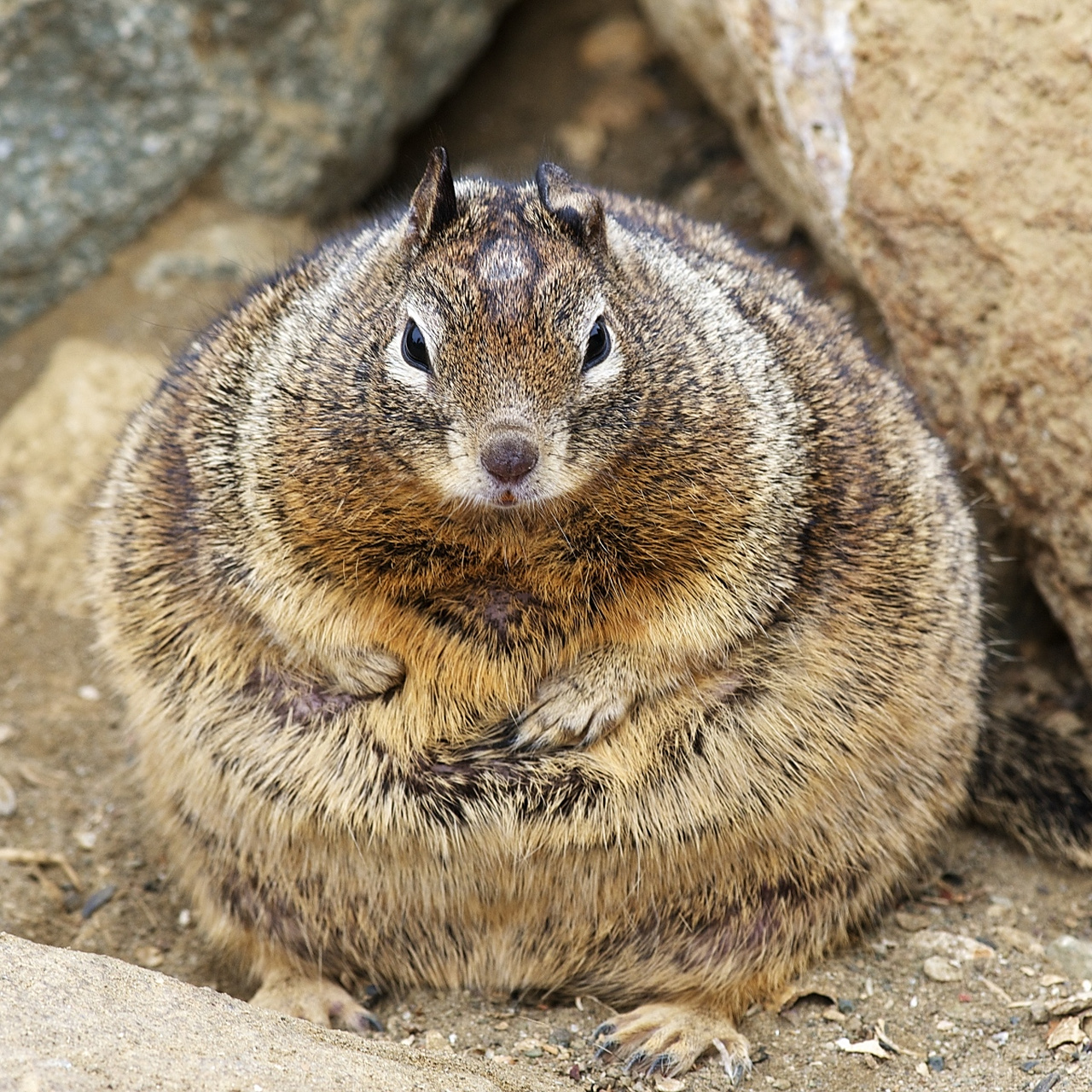 朋友在耐克实体店面买身衣服,1000多块,回头在网店上找到个一模一样的