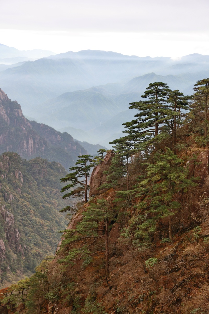 黄山,中国山水画的原点.登顶迎客松,看云海翻滚,日出日落如画.