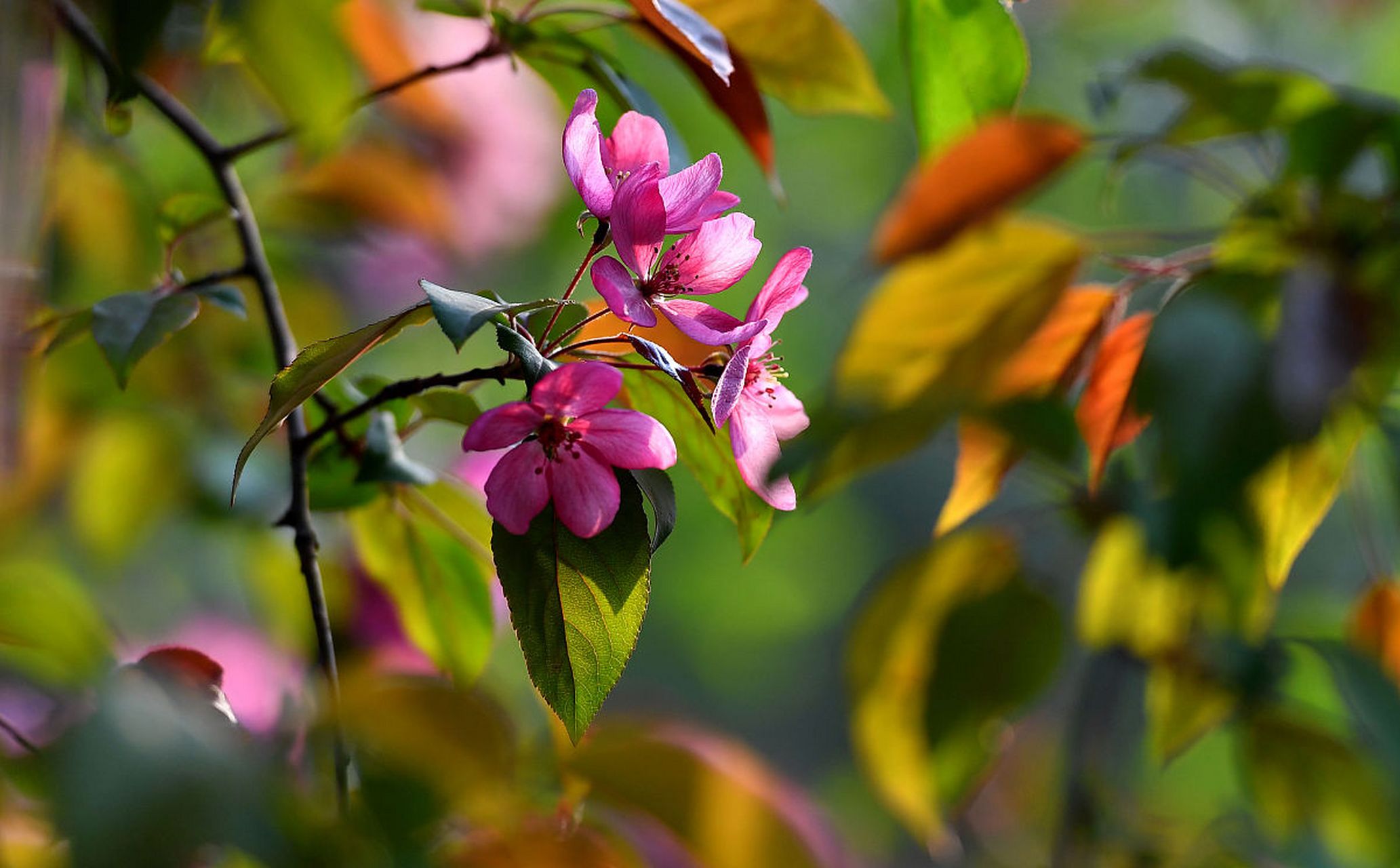 纪伯伦说过:"婚配就是两个相爱的强者同舟共济,以便一道战胜岁月征途