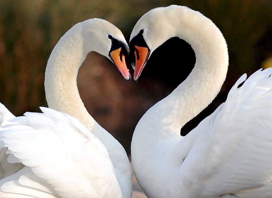 相守,相爱,一生又有多少难舍难断