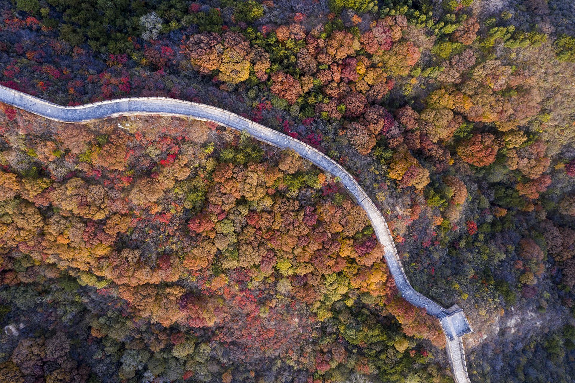 你知道吗?神仙谷·七彩森林景区可是个充满神秘