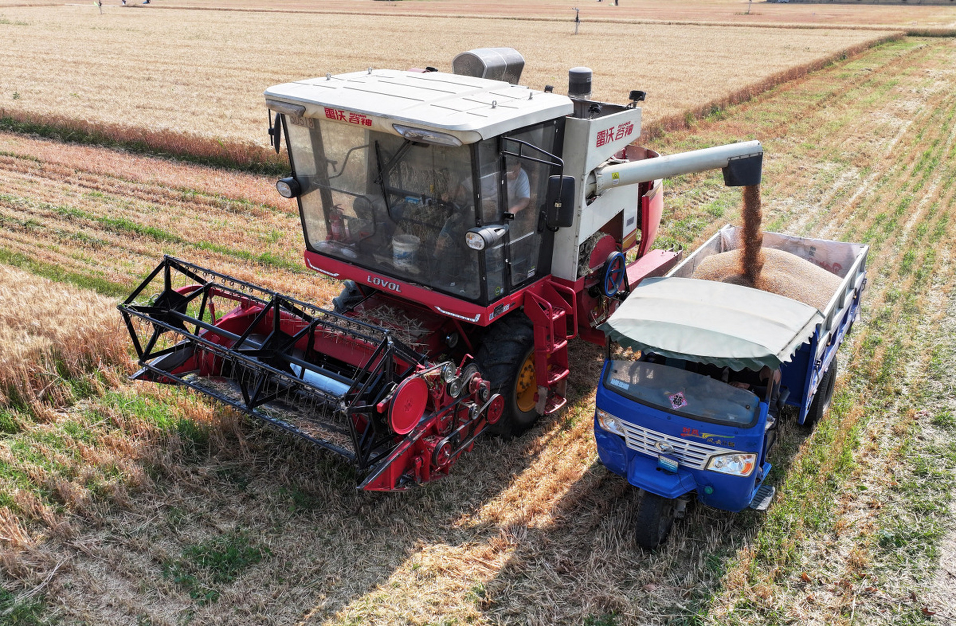 今年投资 16 万买了一台小麦联合收割机,没有跨地区,在村里收割,每天