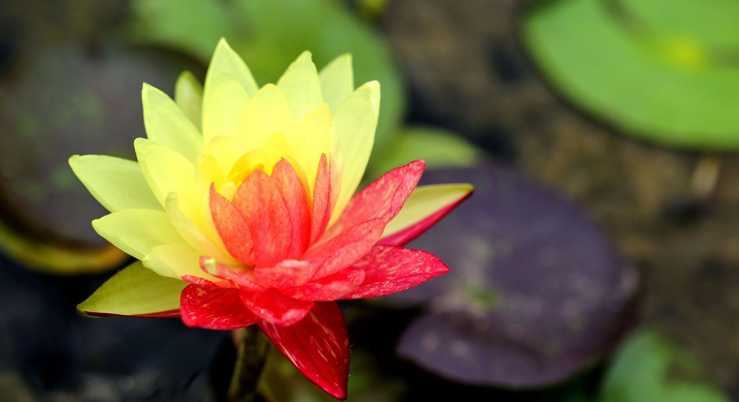 转存美图↓愿你拥有