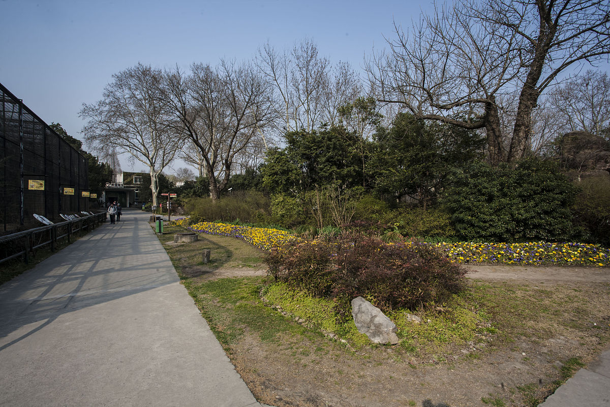 上海虹桥河滨公园形态万千的美景