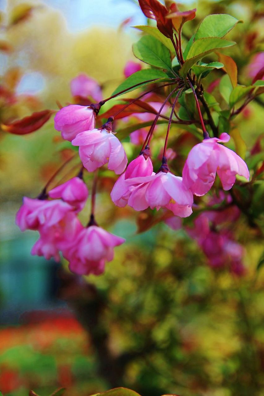 3,不少参加同学聚会的人,回家就会吵架.